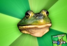 Tags: internet, not, one, proud, too (Pict. in My r/ADVICEANIMALS favs)