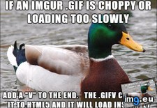 Tags: changed, life (Pict. in My r/ADVICEANIMALS favs)
