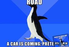Tags: awkward (Pict. in My r/ADVICEANIMALS favs)