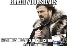 Tags: are, time, trees, year (Pict. in My r/ADVICEANIMALS favs)