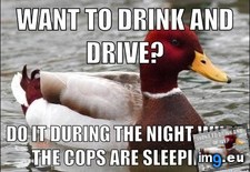 Tags: advice, cakeday, driving (Pict. in My r/ADVICEANIMALS favs)