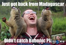 Tags: fixed, got, madagascar (Pict. in My r/ADVICEANIMALS favs)