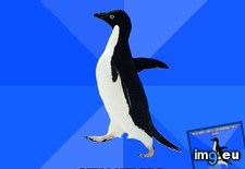 Tags: finally, job, real, turned, working (Pict. in My r/ADVICEANIMALS favs)