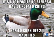 Tags: lbs, learned, lost, months, way (Pict. in My r/ADVICEANIMALS favs)