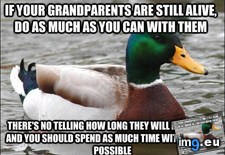Tags: advice, for (Pict. in My r/ADVICEANIMALS favs)