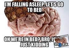 Tags: brain, couch, lie, night, watch (Pict. in My r/ADVICEANIMALS favs)