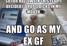 Tags: costume, year (Pict. in My r/ADVICEANIMALS favs)