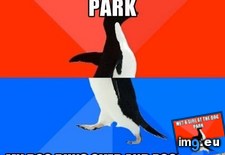 Tags: break, dog, ice (Pict. in My r/ADVICEANIMALS favs)
