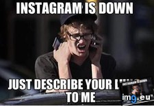 Tags: breakfast, complained, died, friend, instagram, phone, she, thought (Pict. in My r/ADVICEANIMALS favs)