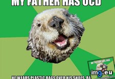 Tags: alphabetize, claim, dot, dvd, ocd (Pict. in My r/ADVICEANIMALS favs)