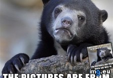 Tags: moment, not (Pict. in My r/ADVICEANIMALS favs)