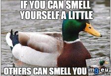 Tags: summer (Pict. in My r/ADVICEANIMALS favs)