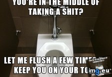 Tags: automatic, scumbag, toilet (Pict. in My r/ADVICEANIMALS favs)