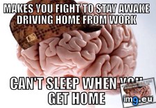 Tags: brain, wtf (Pict. in My r/ADVICEANIMALS favs)