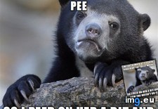 Tags: dirtiest, gave, she (Pict. in My r/ADVICEANIMALS favs)