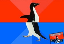 Tags: happened, night (Pict. in My r/ADVICEANIMALS favs)