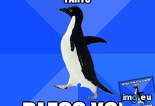 Tags: awkward, kind, penguin (Pict. in My r/ADVICEANIMALS favs)
