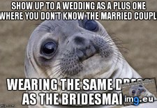 Tags: party, photographer, photos, wedding (Pict. in My r/ADVICEANIMALS favs)