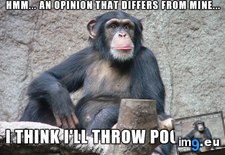 Tags: zoo (Pict. in My r/ADVICEANIMALS favs)