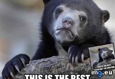 Tags: hours (Pict. in My r/ADVICEANIMALS favs)