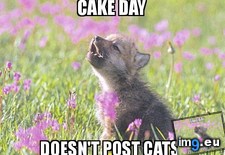 Tags: isn (Pict. in My r/ADVICEANIMALS favs)