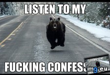 Tags: hand, out, shit (Pict. in My r/ADVICEANIMALS favs)