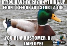 Tags: hard, learn, people, way (Pict. in My r/ADVICEANIMALS favs)