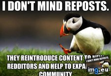 Tags: opinion, reposts, unpopular (Pict. in My r/ADVICEANIMALS favs)