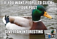 Tags: strikes, terrorism, vaginal (Pict. in My r/ADVICEANIMALS favs)