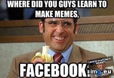 Tags: asks, brother, facepalmed, front, page, potential, review (Pict. in My r/ADVICEANIMALS favs)