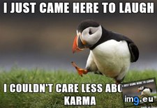 Tags: announcing, ass, bad, downvote, giving, redditor, thinks (Pict. in My r/ADVICEANIMALS favs)