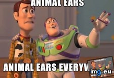 Tags: halloween, office, women, working (Pict. in My r/ADVICEANIMALS favs)