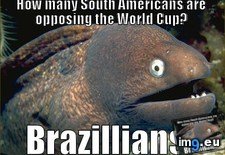 Tags: cup, woes, world (Pict. in My r/ADVICEANIMALS favs)