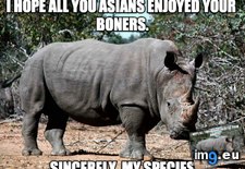 Tags: boners (Pict. in My r/ADVICEANIMALS favs)