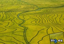 Tags: aerial, fields, rice, uruguay (Pict. in Beautiful photos and wallpapers)