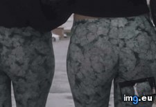 Tags: album, anal, analgif, booty, giant, gif (GIF in My r/ANAL favs)