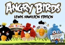Tags: angry, birds, humour, online (Pict. in F1 Humour Images)