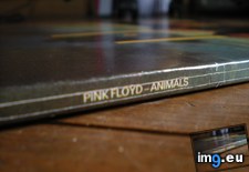 Tags: animals, floyd (Pict. in new 1)