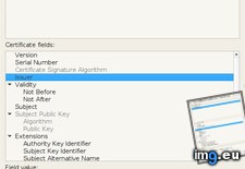 aO2944 ( #598x704) - 56 KB Tags: 598x704 (Pict. in KDE PasteBin)