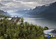 Tags: apple, lofthus, norway, orchard, ullensvang (Pict. in Beautiful photos and wallpapers)