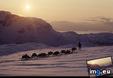 Tags: arctic, fringe, lapps (Pict. in National Geographic Photo Of The Day 2001-2009)