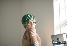 arriane-foxsocks-37 (#Tits #Hot #Sexy #Tatoo #Arriane #Foxsocks) - 47 KB Tags: arriane, boobs, emo, foxsocks, girls, hot, sexy, tatoo, tits (Pict. in SuicideGirlsNow)