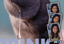 Asian_slut_tribute_Tribute_Asian_Filipina_Webslut_20250427_083357 ( ) - 149 KB Tags: (GIF in Asian Filipina webslut Porn Janice and Jenn)