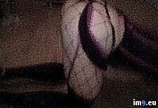 Поиск by тэг ass Стр 1 