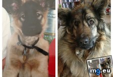 Tags: years (Pict. in My r/AWW favs)