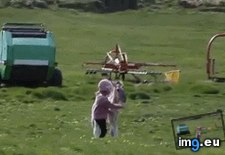 Tags: girl (GIF in My r/AWW favs)