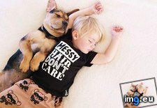 Tags: continue, napping, puppy, toddler (Pict. in My r/AWW favs)