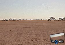 Tags: baby, babyelephantgifs, elephant, mother, rescued, runs (GIF in My r/AWW favs)