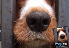 Tags: image (Pict. in My r/AWW favs)