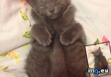 Tags: cannonball (Pict. in My r/AWW favs)